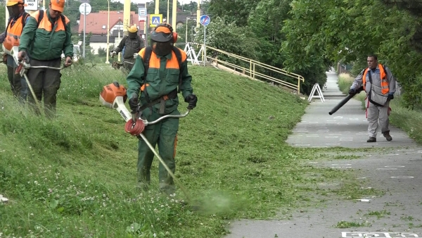 Prioritou je zeleň pri cestných ťahoch